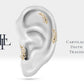 14K Solid Gold Cartilage Piercing,Diamond Olive Bough Design Piercing,Leaf Stud Earring